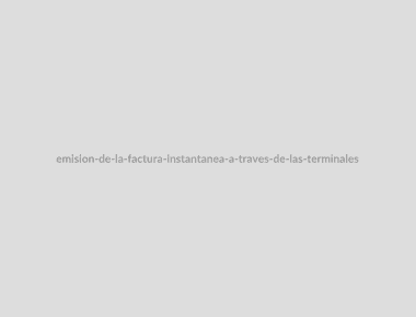 "Emisión de la factura instantánea a través de las terminales punto de venta."